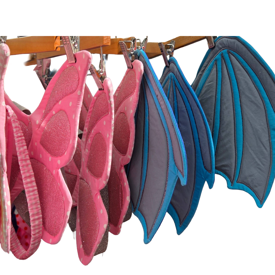 DRAGON WINGS FOR KIDS